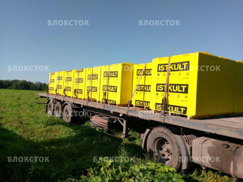Пеноблоки Istkult D500 625х250х200 стеновые